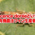 Flavescence doréeという病害と有機農法ワイン生産者