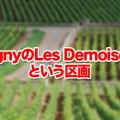 PulignyのLes Demoisellesという区画